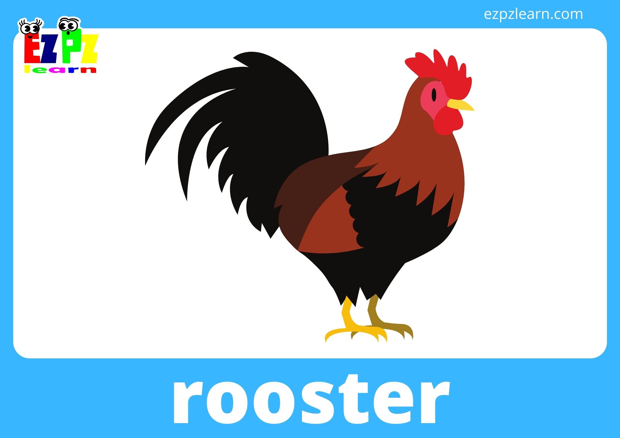 rooster